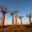 Une escapade à Madagascar